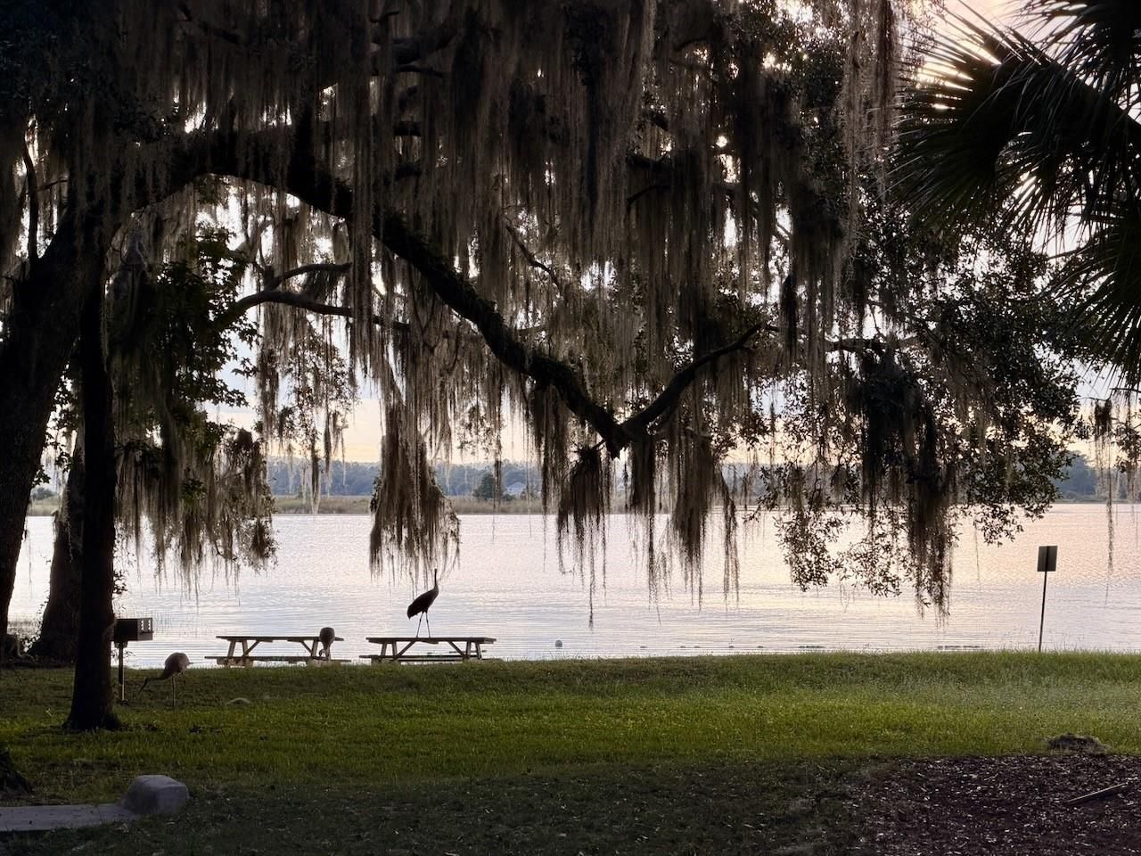 14010 NE 250th Circle , Salt Springs, FL 32134 Photo