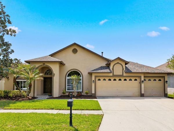 10017 OXFORD CHAPEL DRIVE, TAMPA, FL 33647