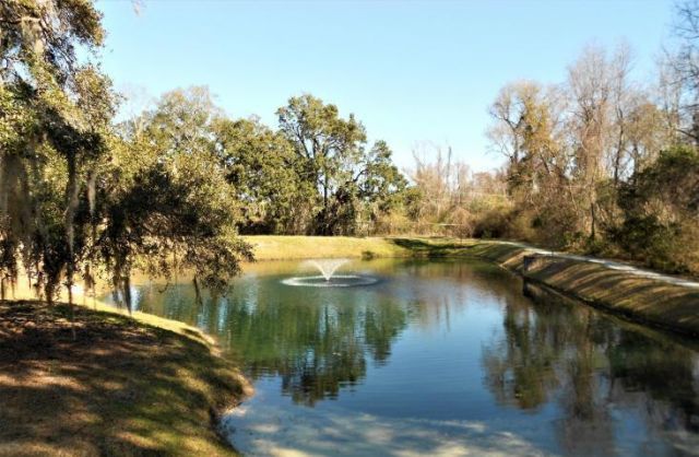 2216 Chatelain Way Photo 20