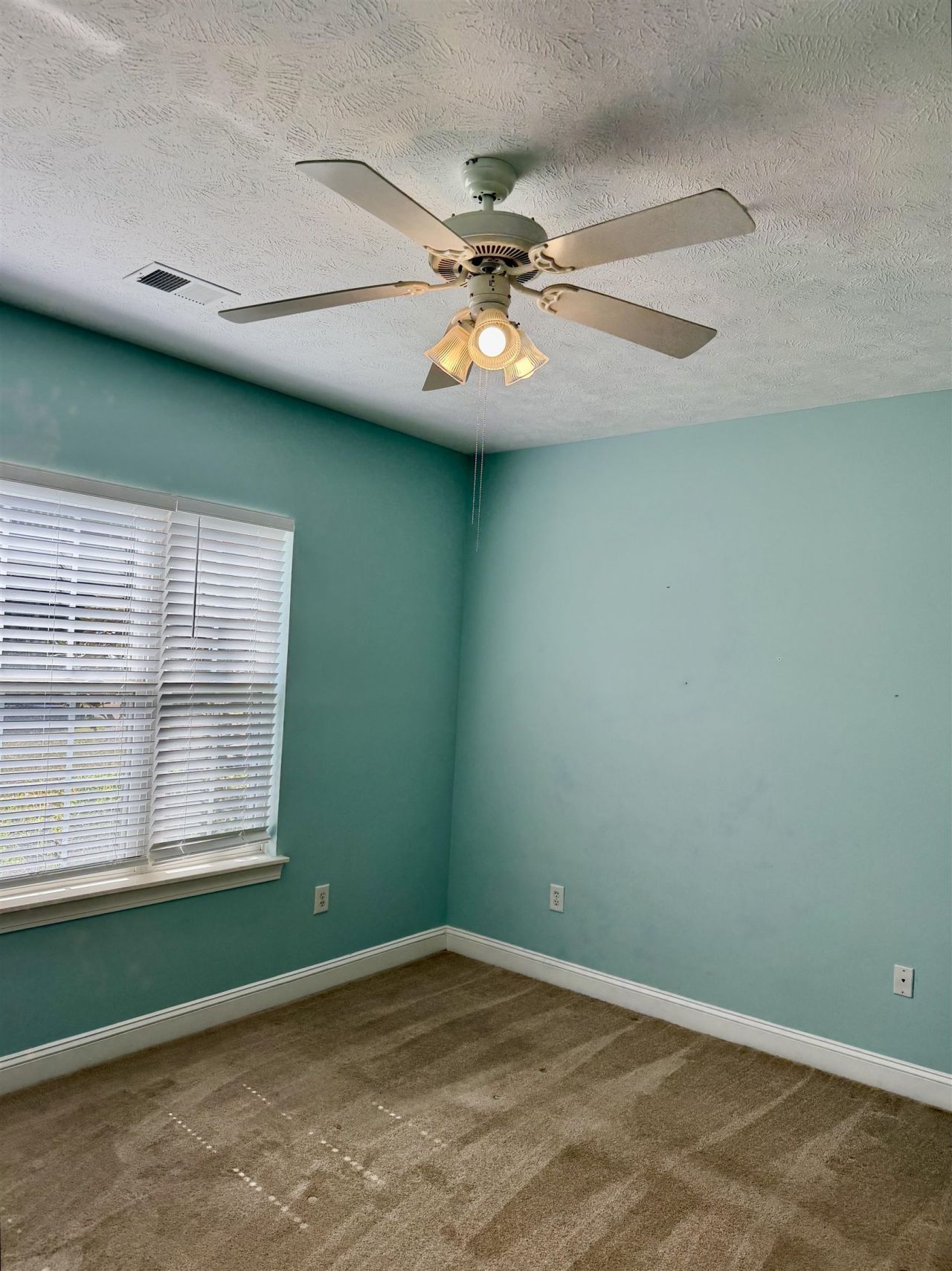 952 Algonquin Dr. Photo 18