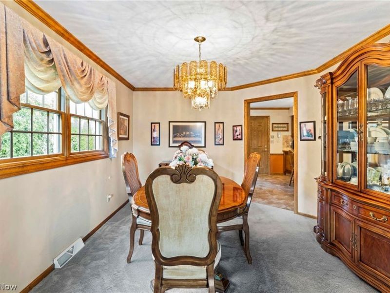 551 E Regency Circle , Canfield, OH 44406 Photo 9