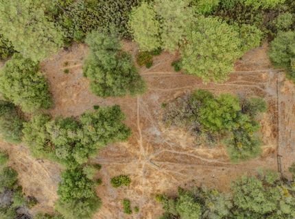 13080 Twin Pines Rd, Sutter Creek, CA 95685 Photo