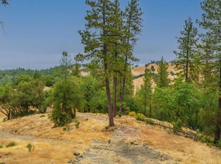 13080 Twin Pines Rd, Sutter Creek, CA 95685 Photo