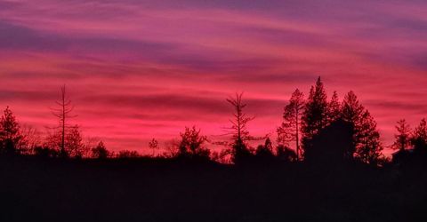 13080 Twin Pines Rd, Sutter Creek, CA 95685 Photo
