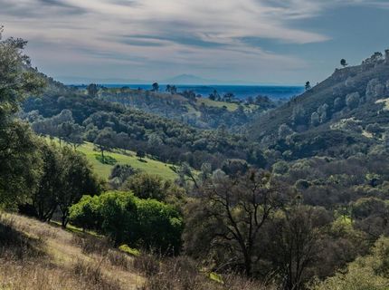 7220 Stony Creek Rd, Jackson, CA 95642 Photo