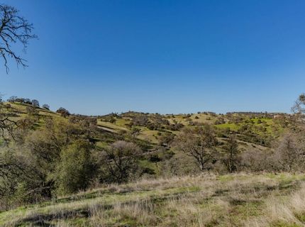 7220 Stony Creek Rd, Jackson, CA 95642 Photo