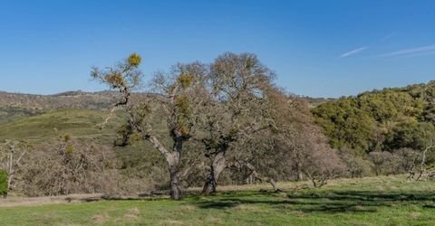 7220 Stony Creek Rd, Jackson, CA 95642 Photo