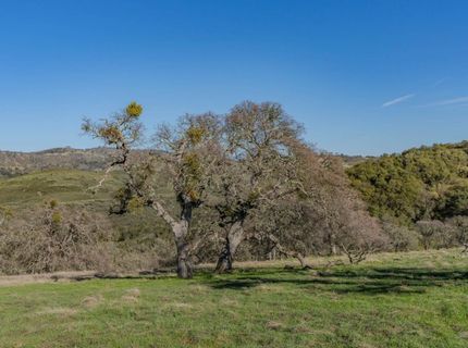 7220 Stony Creek Rd, Jackson, CA 95642 Photo