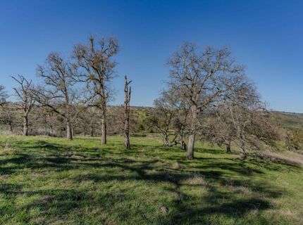 7220 Stony Creek Rd, Jackson, CA 95642 Photo