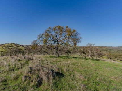 7220 Stony Creek Rd, Jackson, CA 95642 Photo