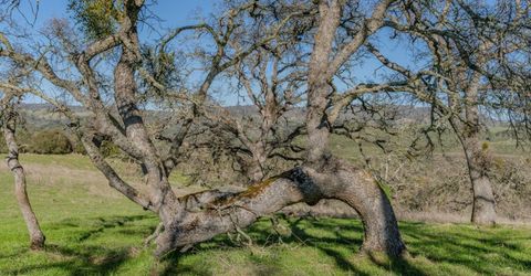 7220 Stony Creek Rd, Jackson, CA 95642 Photo