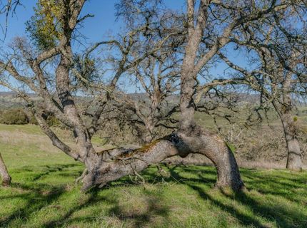 7220 Stony Creek Rd, Jackson, CA 95642 Photo