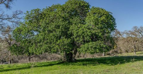 7220 Stony Creek Rd, Jackson, CA 95642 Photo