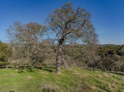 7220 Stony Creek Rd, Jackson, CA 95642 Photo