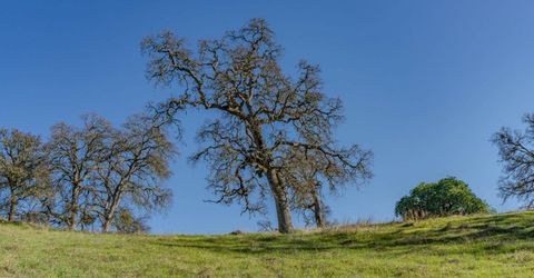 7220 Stony Creek Rd, Jackson, CA 95642 Photo