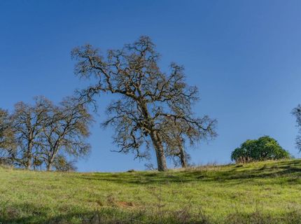 7220 Stony Creek Rd, Jackson, CA 95642 Photo