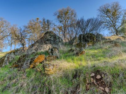 7220 Stony Creek Rd, Jackson, CA 95642 Photo
