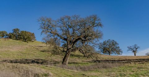 7220 Stony Creek Rd, Jackson, CA 95642 Photo