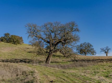 7220 Stony Creek Rd, Jackson, CA 95642 Photo