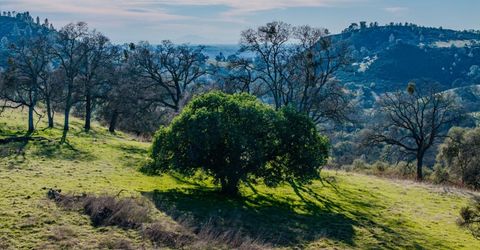 7220 Stony Creek Rd, Jackson, CA 95642 Photo