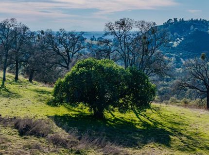 7220 Stony Creek Rd, Jackson, CA 95642 Photo