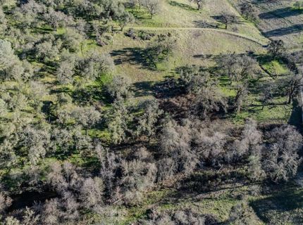 7220 Stony Creek Rd, Jackson, CA 95642 Photo