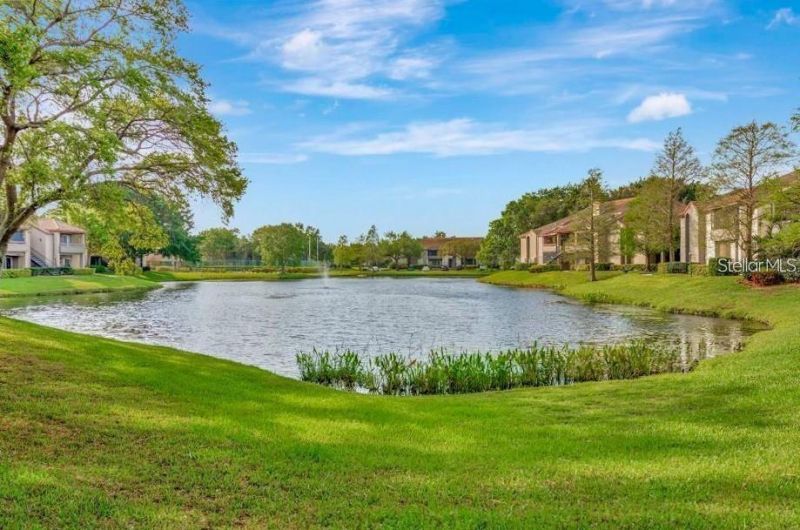 10265 Gandy Boulevard N, Unit 1707, Saint Petersburg, FL 33702 Photo