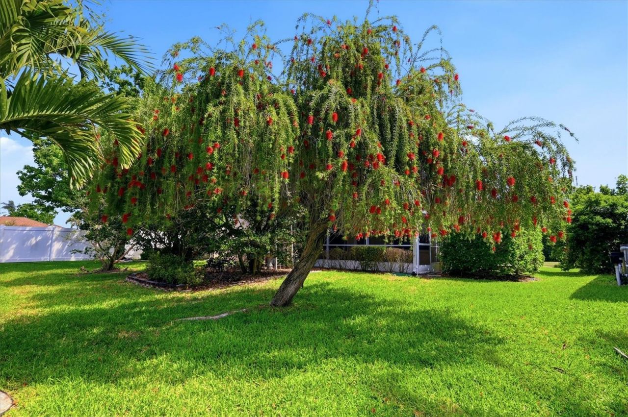 5006 45th Street W, Bradenton, FL 34210 Photo