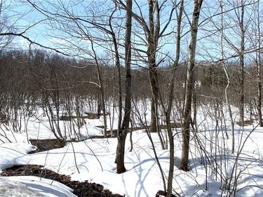 Town Line Road, Lorraine, NY 13659