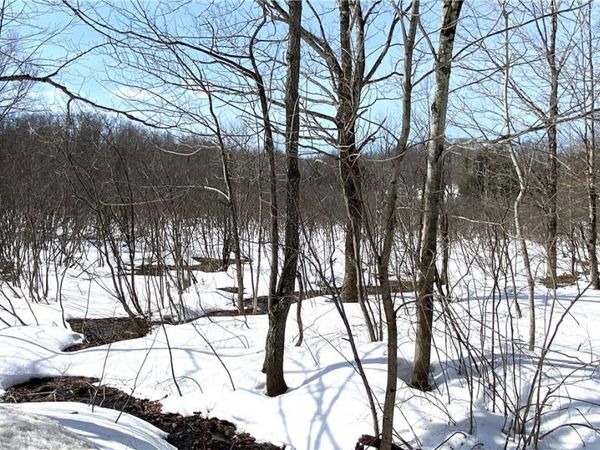 Town Line Road, Lorraine, NY 13659