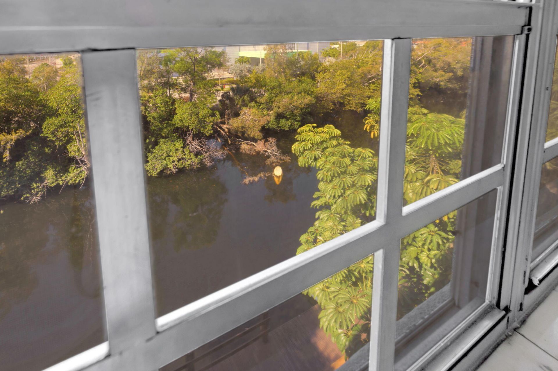 1407 NE 56th Street, Unit 408, Fort Lauderdale, FL 33334 Photo