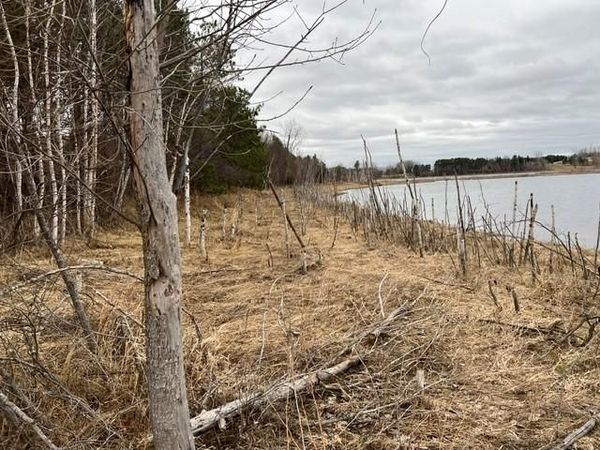 135XX Keystone Ave N , Hugo, MN 55038