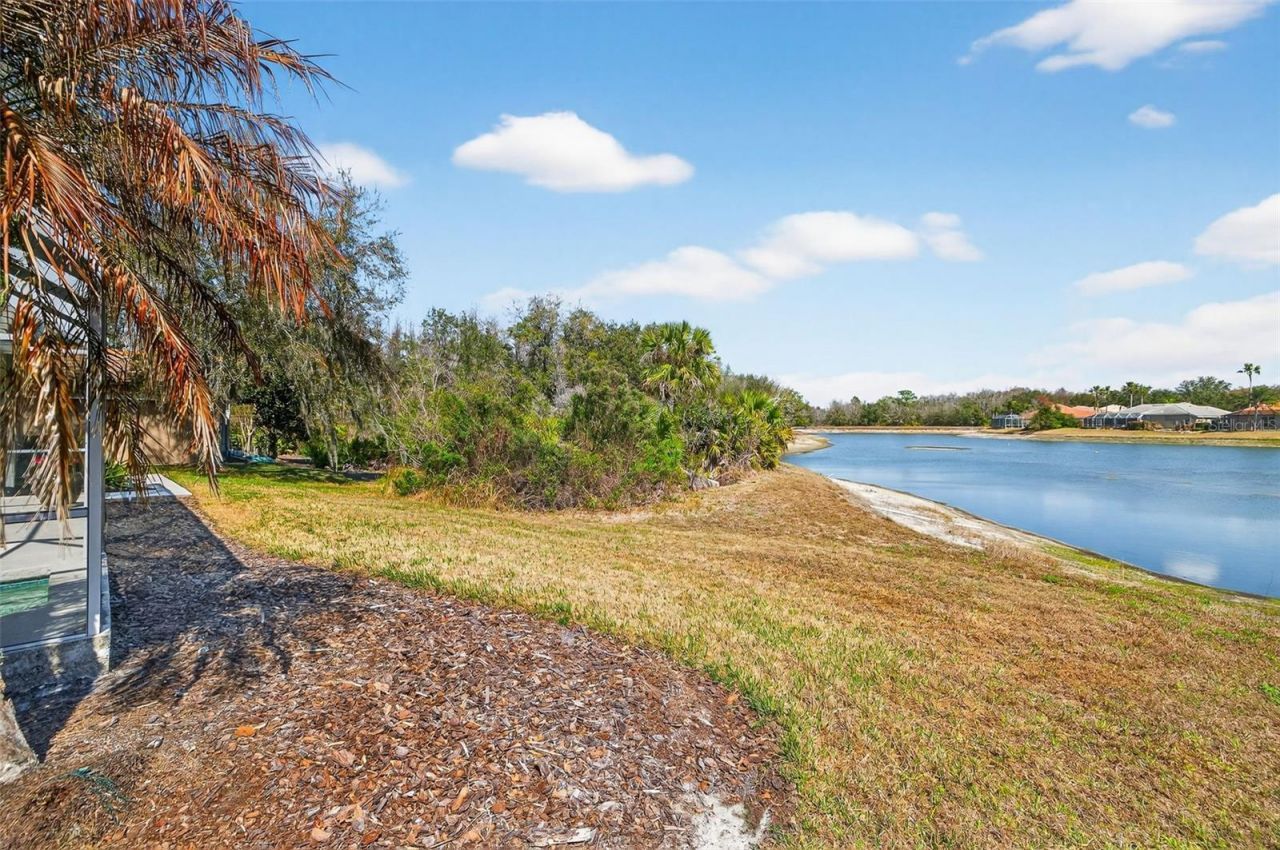 10228 Estuary Drive, Tampa, FL 33647 Photo