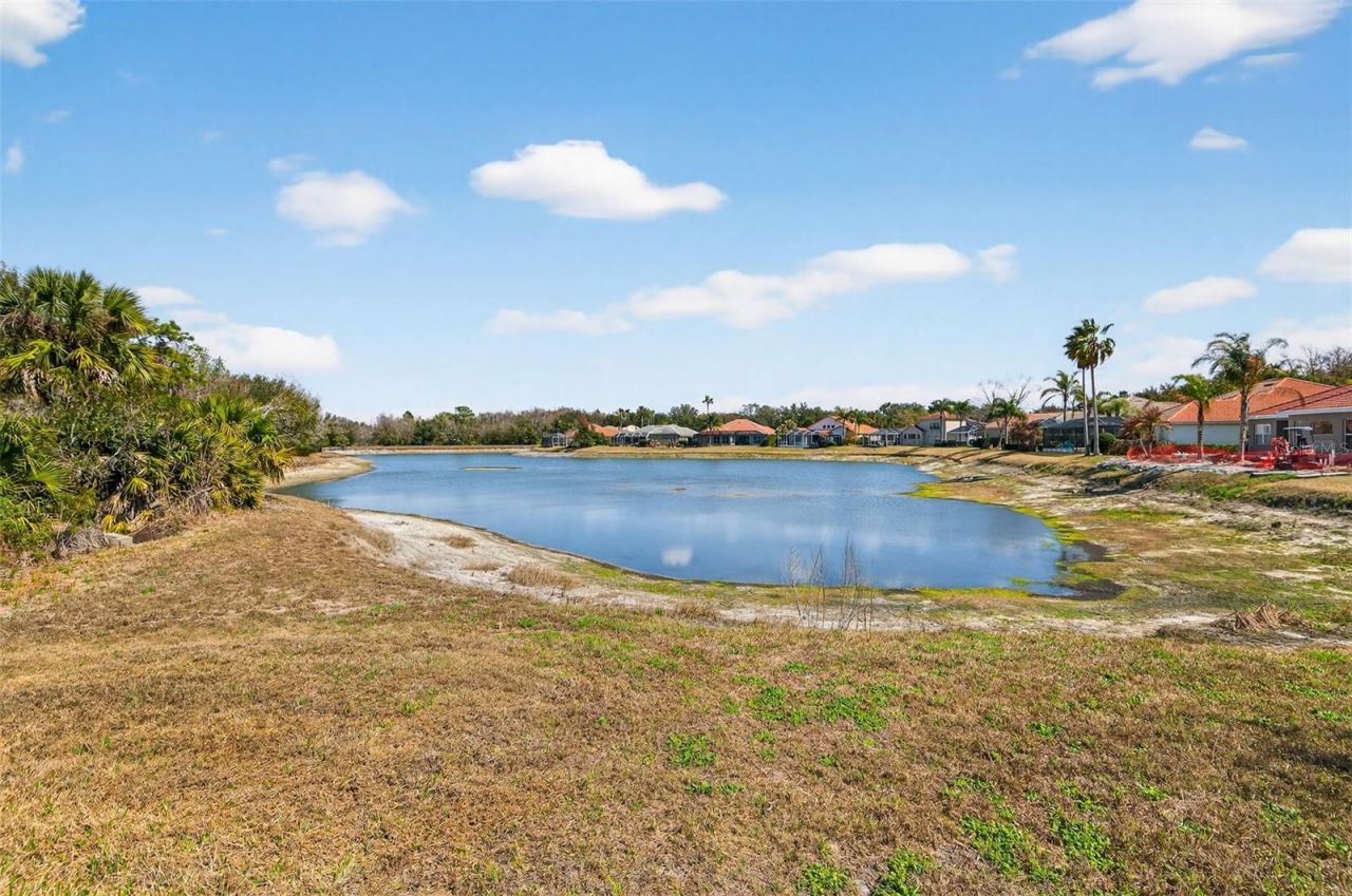 10228 Estuary Drive, Tampa, FL 33647 Photo
