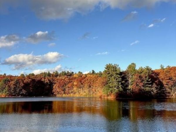 102 River Street, Leicester, MA 01542