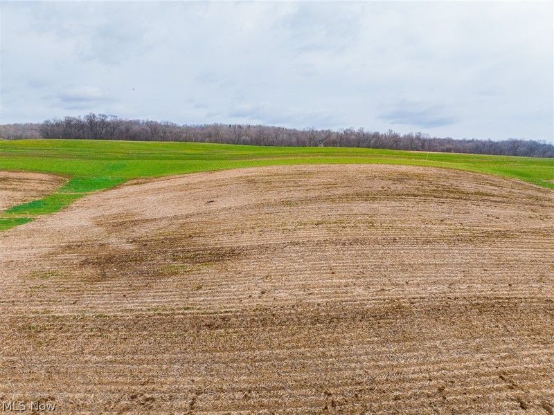 N American Road NW, Dover, OH 44622 Photo 6