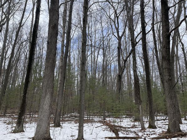 Lot 4 Hillsdale Drive, Roscommon, MI 48653
