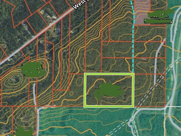 VL 15 AC W Jones Lake Road, Grayling, MI 49738