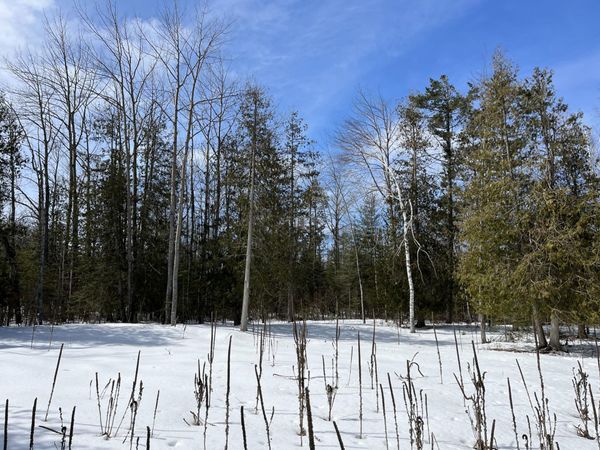 Lot 125 Sunaqua Drive, Presque Isle, MI 49777
