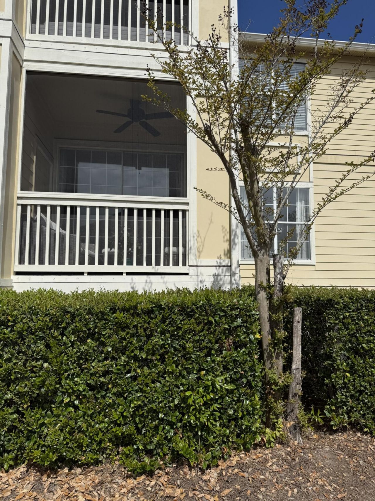 1600 Long Grove Drive Photo 13