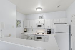 1600 Long Grove Drive photo 4