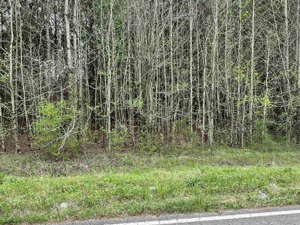Lot 6 Salem Minor Hill Road, Lester, AL 35647