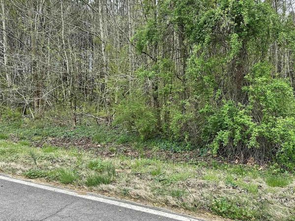 Lot 9 West Limestone School Road, Lester, AL 35647