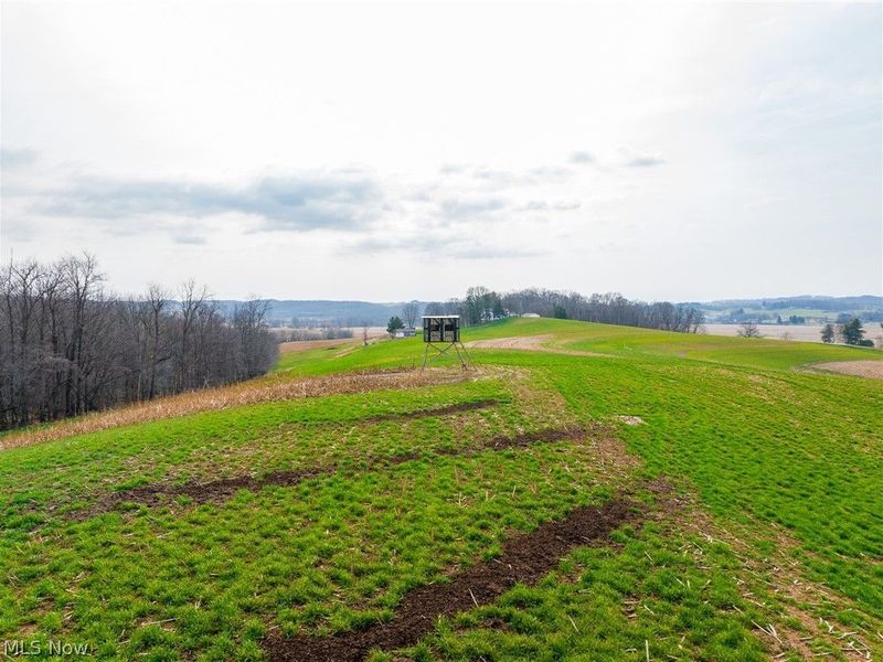 N American Road NW, Dover, OH 44622 Photo 7