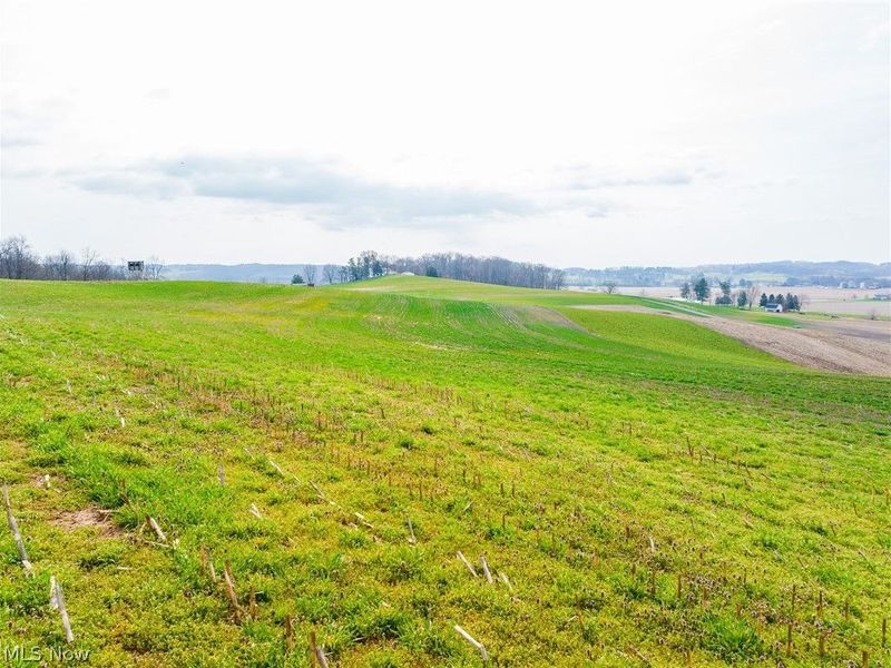 N American Road NW, Dover, OH 44622 Photo 9