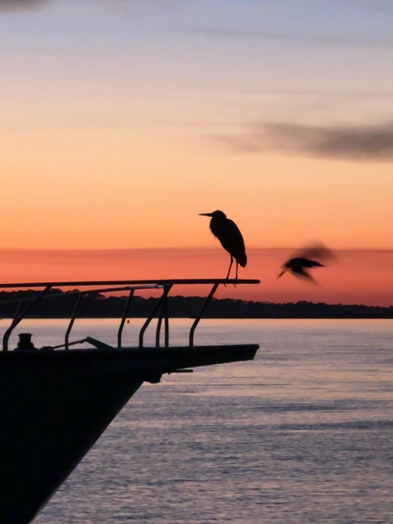 67 W 10th Street Photo 6