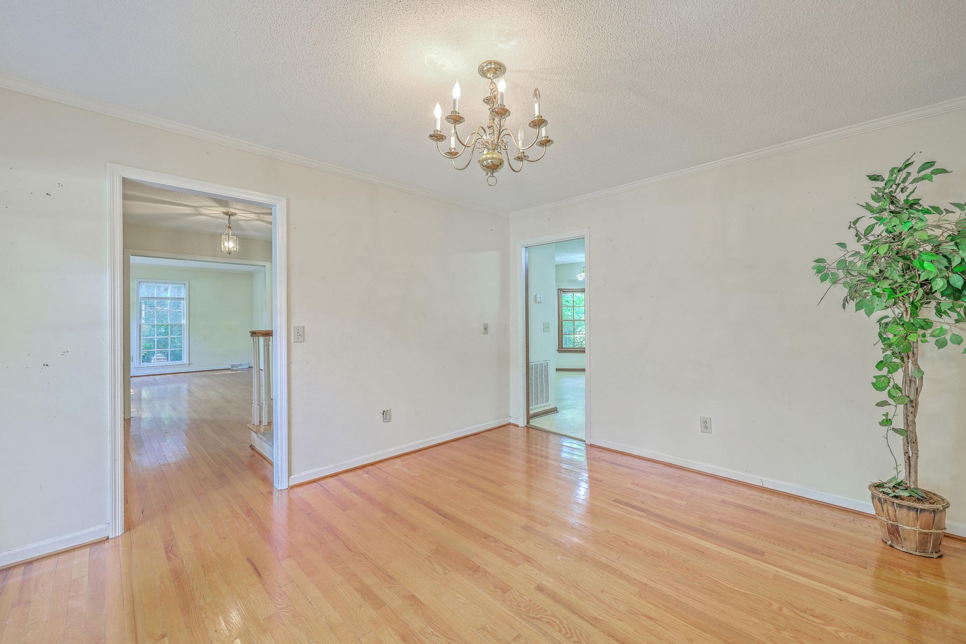 109 Squire Court Photo 6