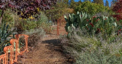 15579 Jesus Maria, Mokelumne Hill, CA 95245 Photo