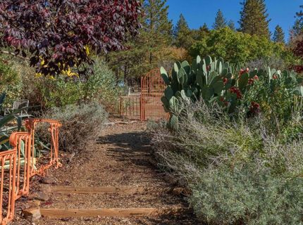 15579 Jesus Maria, Mokelumne Hill, CA 95245 Photo