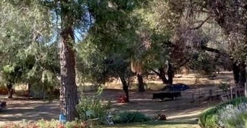 15579 Jesus Maria, Mokelumne Hill, CA 95245 Photo